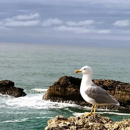 Maison Basque De Charme Avec Piscine 度假居 Souraïde
