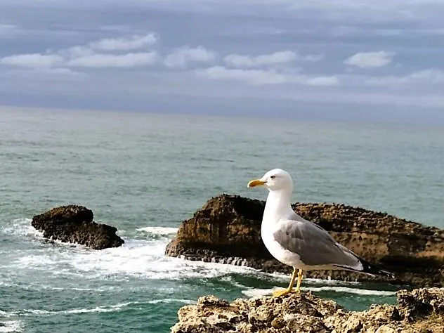 Maison Basque De Charme Avec Piscine Vakantiehuis Souraïde
